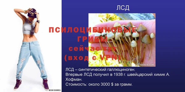 амф Заволжск