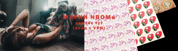 мдпв Заводоуковск