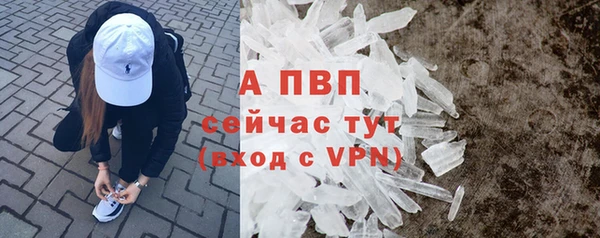 ECSTASY Елабуга