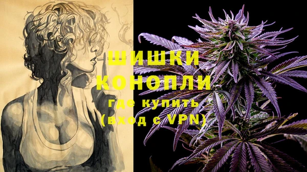дмт Елизово