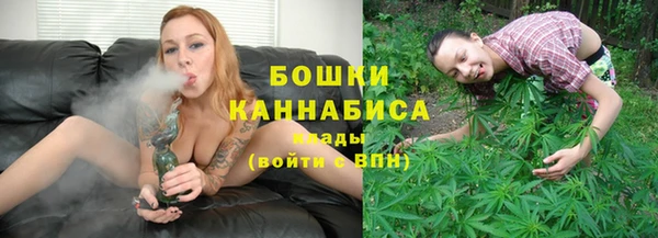 дмт Елизово